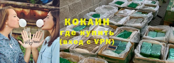 гашик Коряжма
