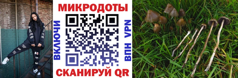 Купить закладки  Мышкин  Галлюциногенные грибы Magic Shrooms 